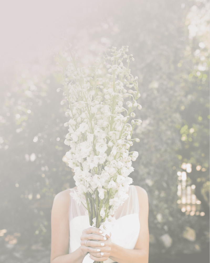 Coast 2 Coast Event Planners | Day of Event Coordination & Staffing Coast 2 Coast Event Planners | Day of Event Coordination & Staffing